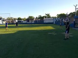 descarga (3)