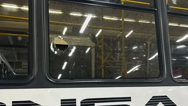 colectivo-agredido