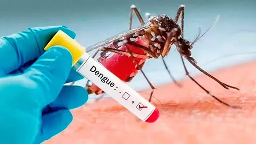 dengue-positico