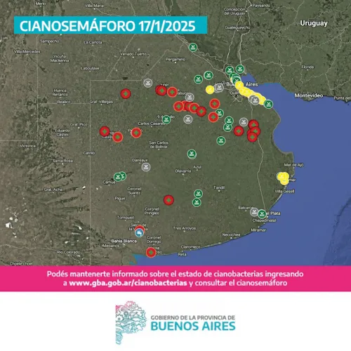 cianosemaforo 17-1-2025a