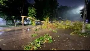 4a97ecfhb316820idg5j