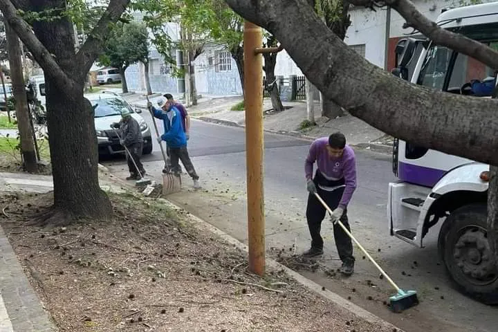 EL MUNICIPIO INTENSIFICÓ LAS TAREAS PREVENTIVAS DE DESOBSTRUCCIÓN Y LIMPIEZA EN DISTINTOS PUNTOS DEL DISTRITO (1)