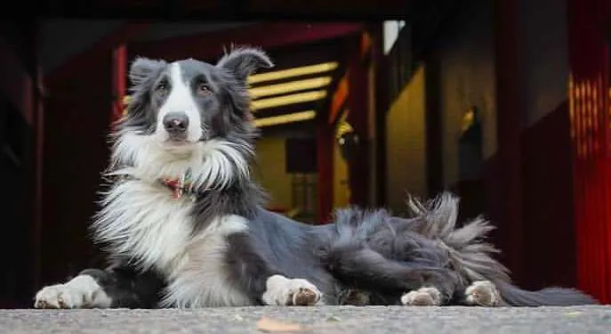 Screenshot_20230906-115556