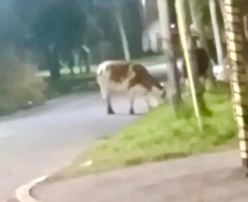 0cj7h1gebf94i26da583