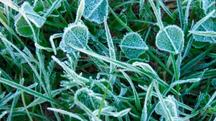 frio-700x394 (1)