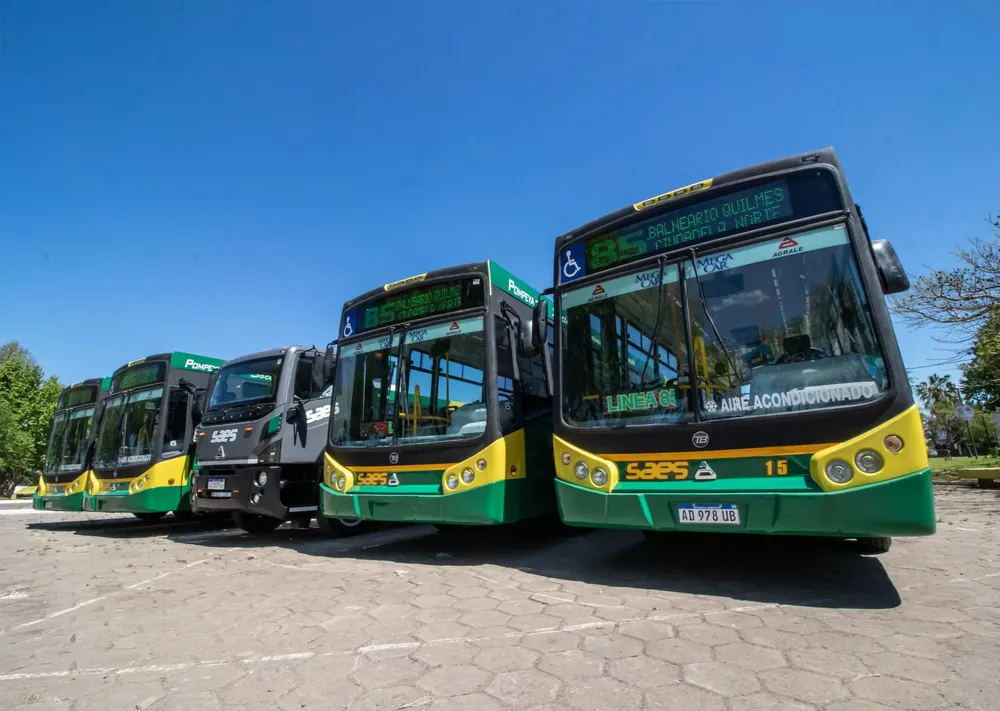 linea85