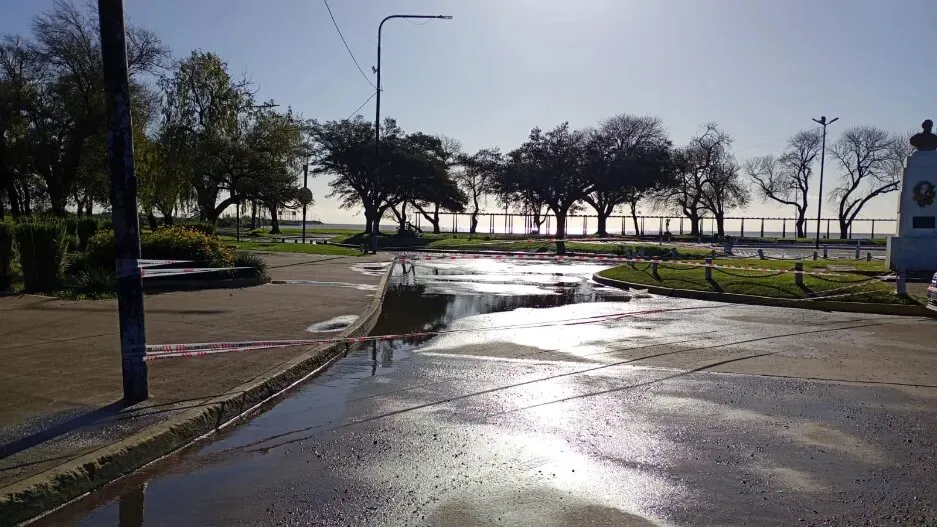 d1bad36c-19d5-4039-b6e6-020630e113e8.jpg_1480801792