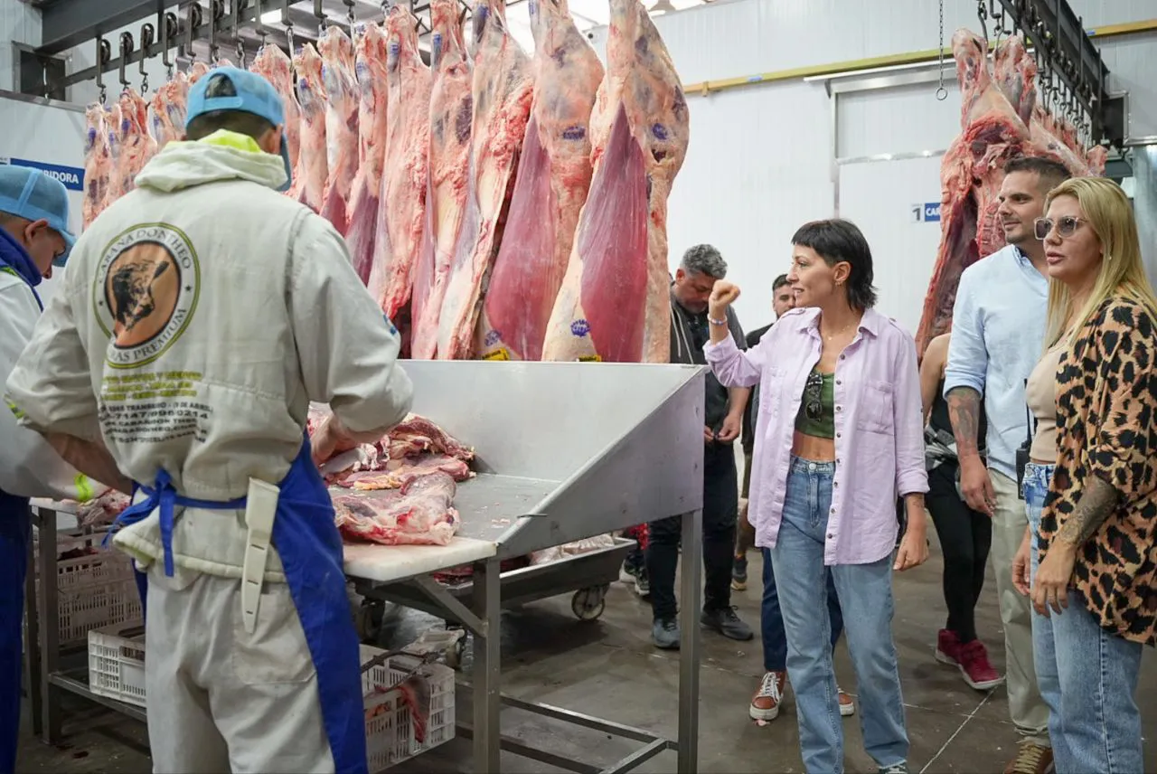 8d5edcb4-8005-496b-a64d-93e67e50c531