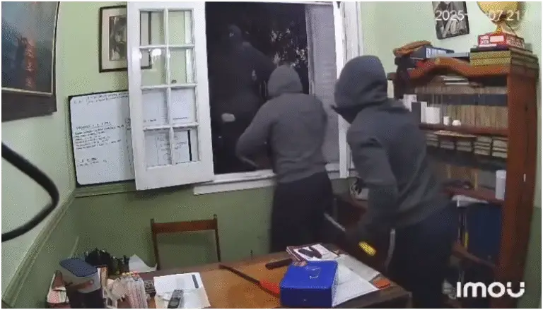 Captura-de-pantalla-2025-11-07-011407-768x439