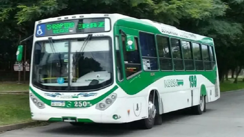 linea159