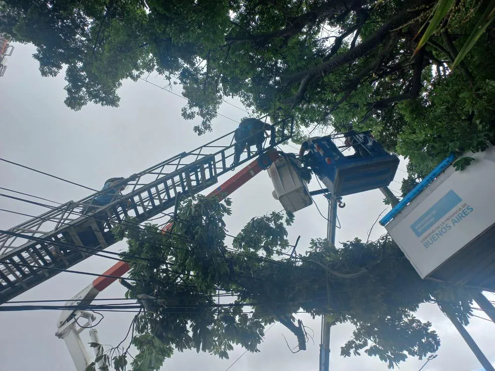 multimedia.normal.896a7029940c63dc.cG9kYV9ub3JtYWwuanBn