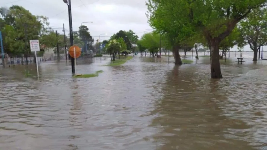 quilmes-anegamientojpg