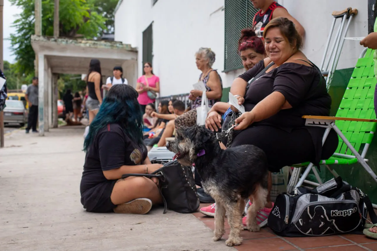 INTENSO OPERATIVO DE ZOONOSIS CON CASTRACIONES Y VACUNACIÓN ANTIRRÁBICA EN LA SOCIEDAD DE FOMENTO LOS EUCALIPTOS DE SAN FRANCISCO SOLANO 3