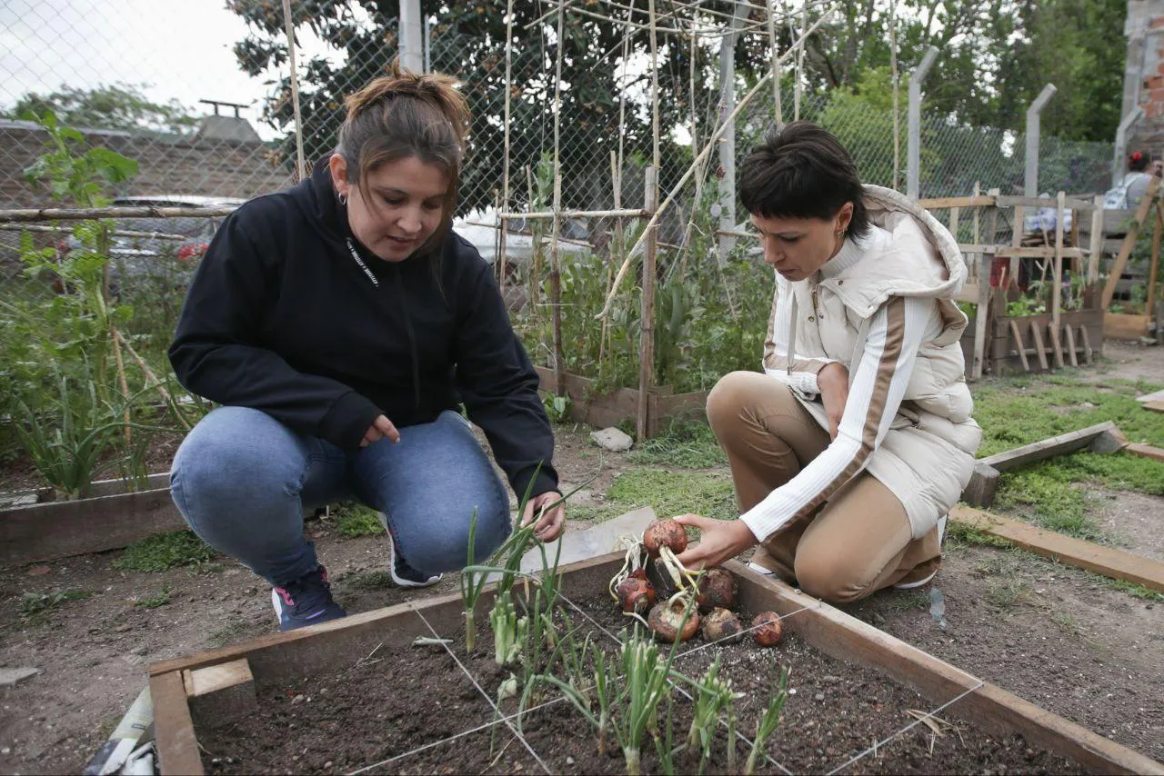 247fe532-b9ef-4bfd-8546-6b32dc1e7245