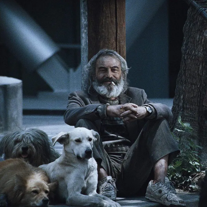 Amores Perros