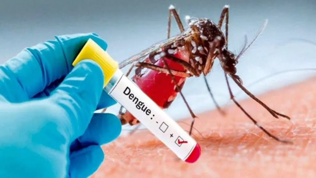 Dengue-1024x576