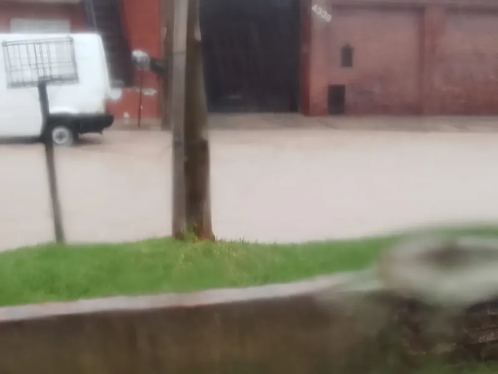 8c76a7cc-bf53-4d63-9360-ef8b9a49e665