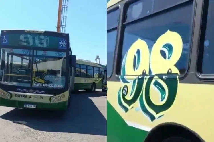 Linea98-articulado