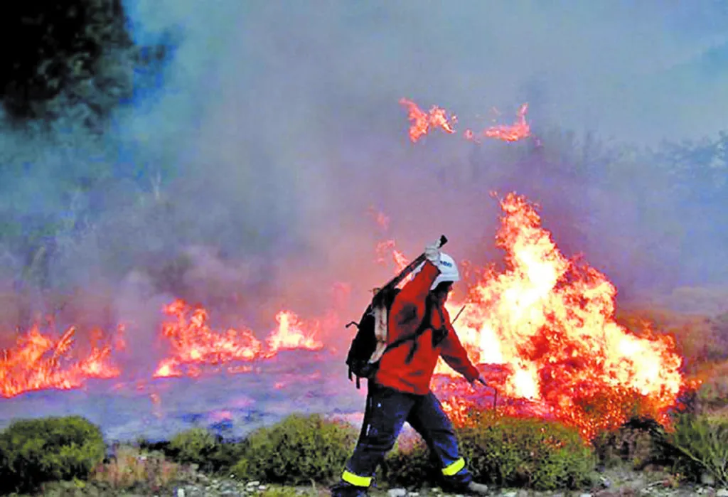 incendio-forestal-en-chubut-2w-1024x699