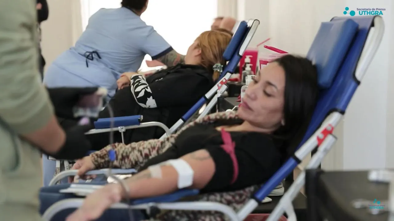 WhatsApp-Image-2024-07-04-at-01.42.53