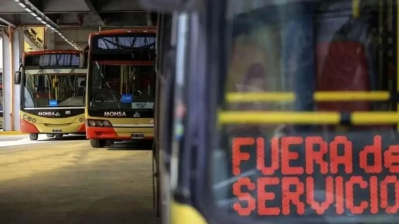 Sin-colectivos