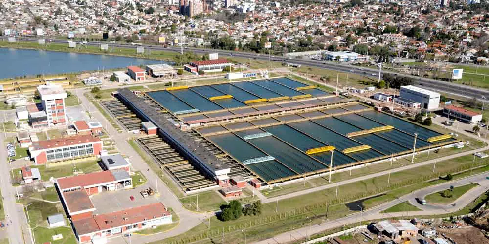 Belgrano2
