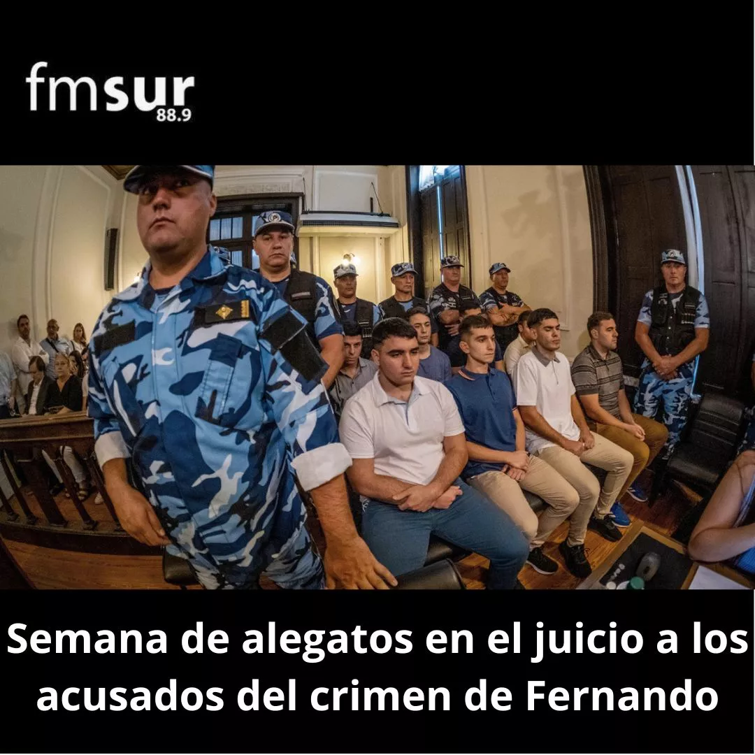 Agregar un subtítulo - 2023-01-23T090537.571
