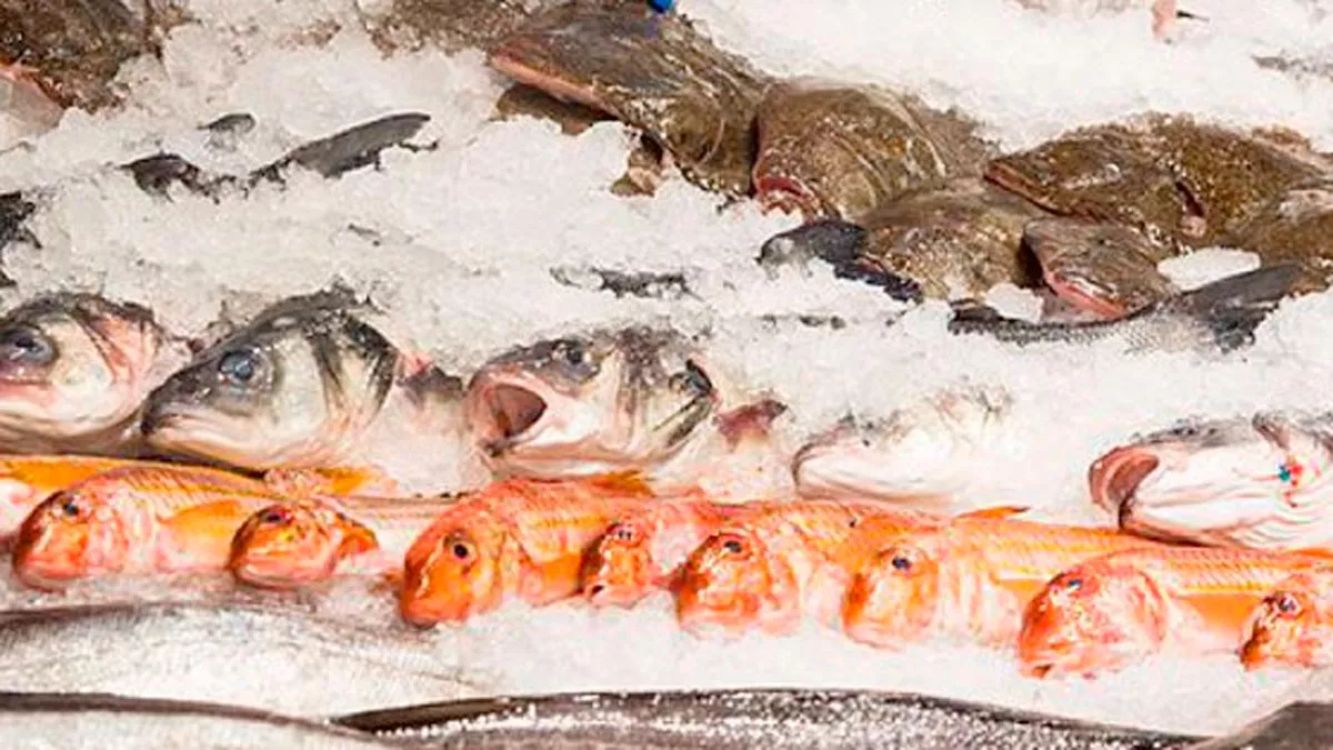 pescado