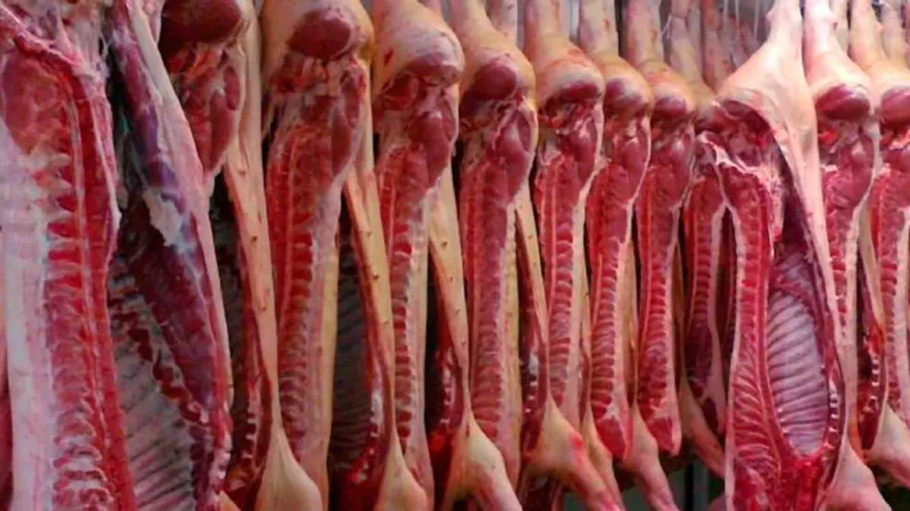 carne2400-e1674774680353-1024x576