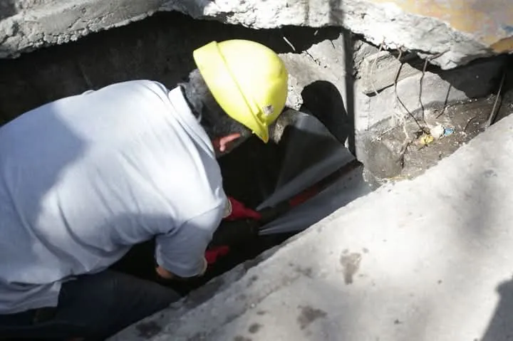 4f18c32a-5262-4253-9223-83898e82b311