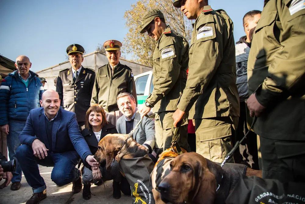 02f2f0bf-490d-4e60-8a5a-6e623eadf393