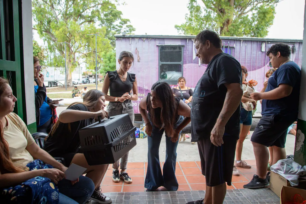 INTENSO OPERATIVO DE ZOONOSIS CON CASTRACIONES Y VACUNACIÓN ANTIRRÁBICA EN LA SOCIEDAD DE FOMENTO LOS EUCALIPTOS DE SAN FRANCISCO SOLANO 2