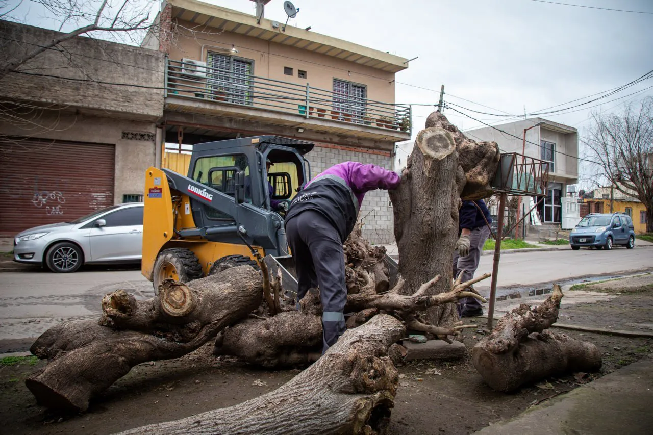 EL MUNICIPIO CONTINÚA CON LOS OPERATIVOS INTEGRALES DE LIMPIEZA EN EL OESTE DEL DISTRITO (4)