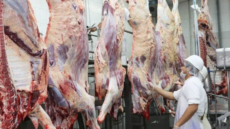 carne-768x432
