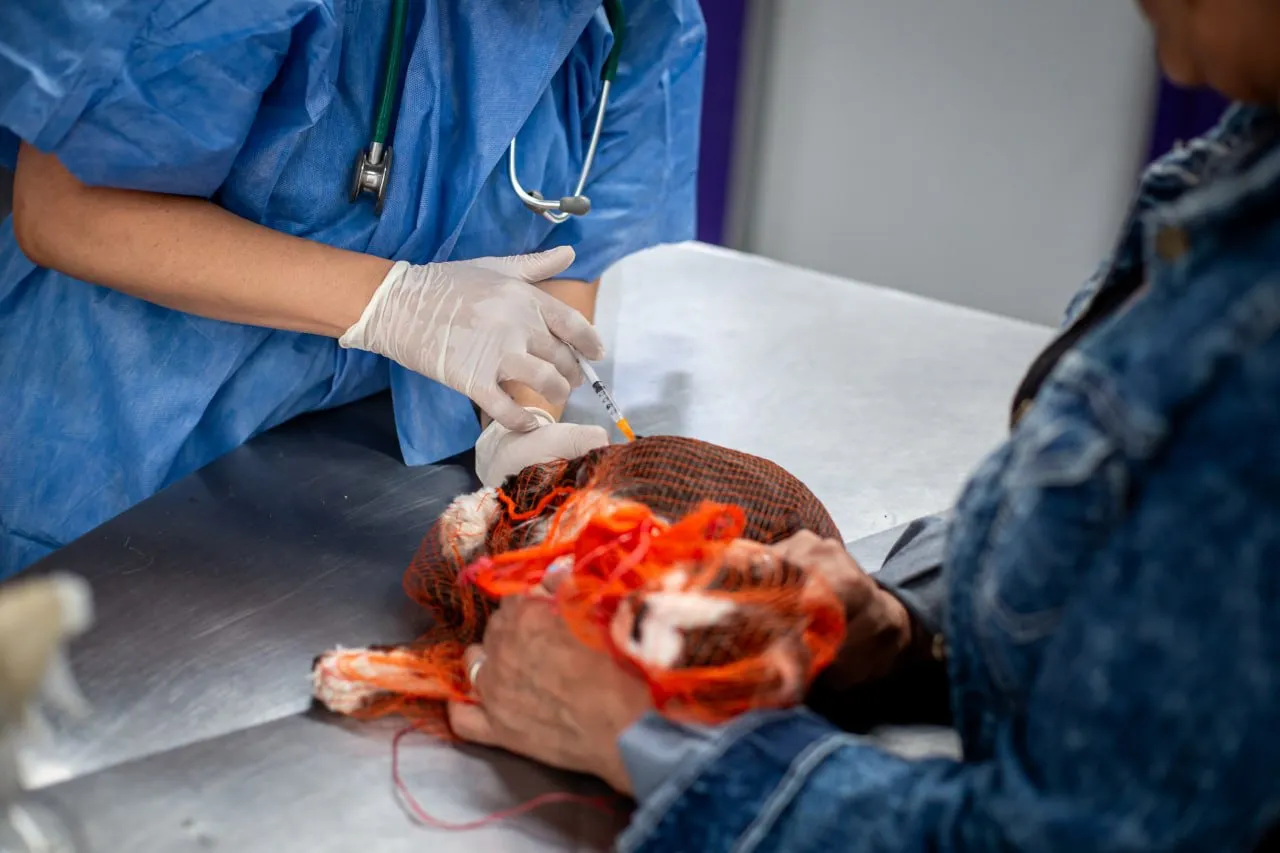 OPERATIVO DE ZOONOSIS 3