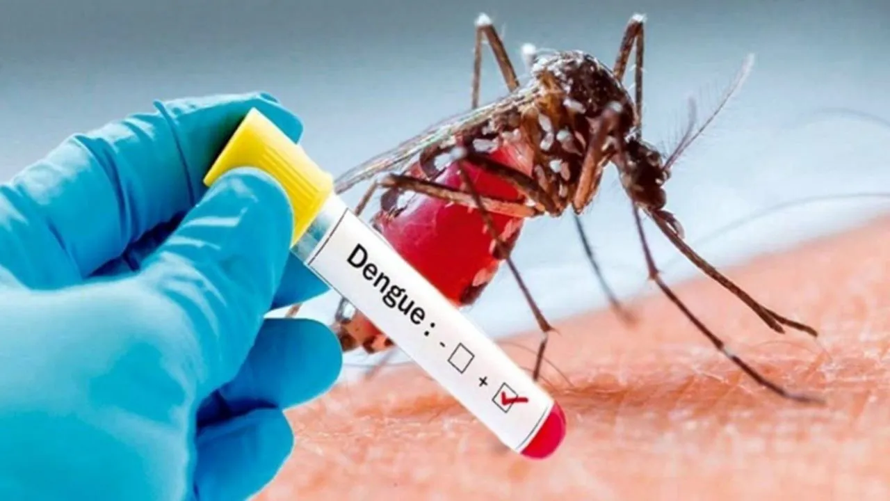 Dengue