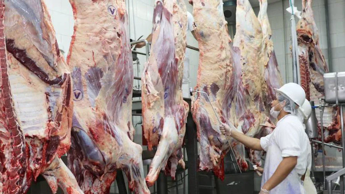 carne