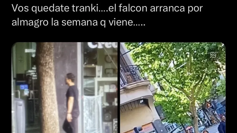 falcon-verde