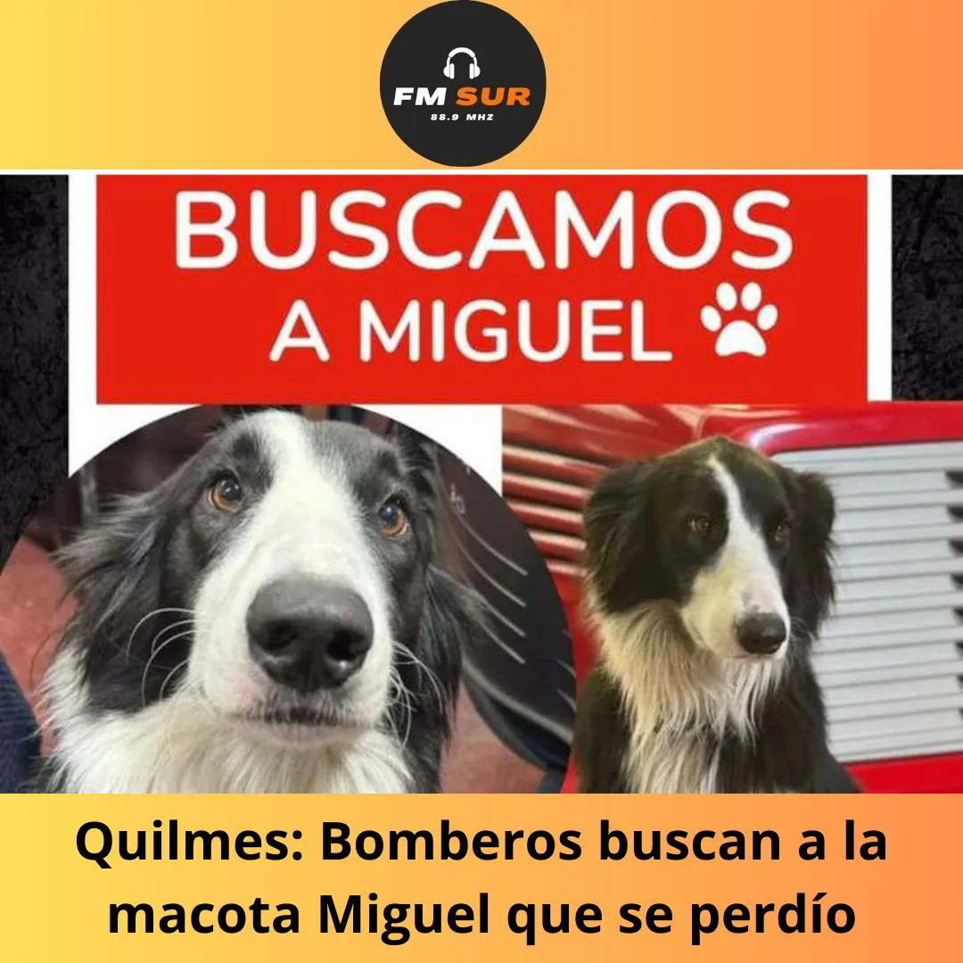 Asesinaron a un barbero en Quilmes y los vecinos detuvieron al homicida - 2024-06-13T133823.058