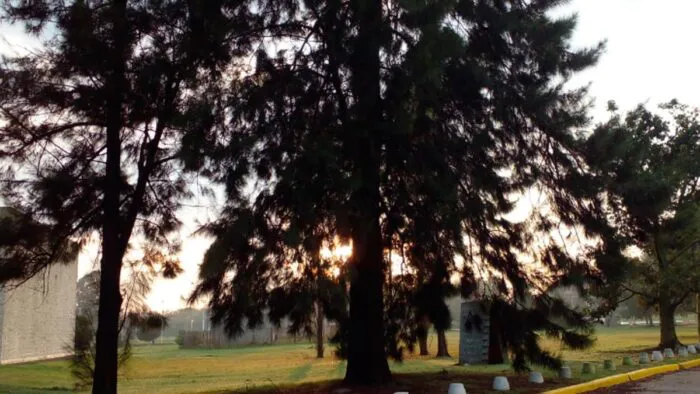 clima-700x394