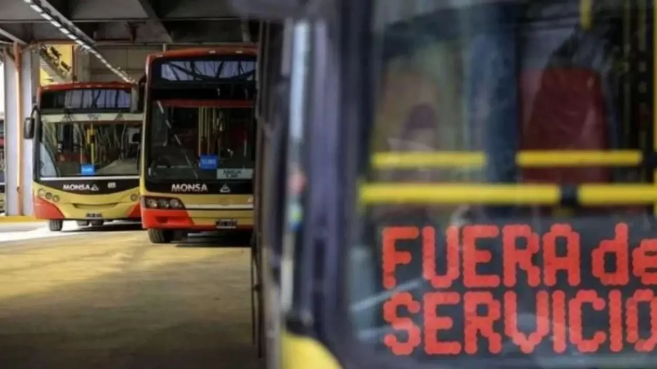 Sin-colectivos
