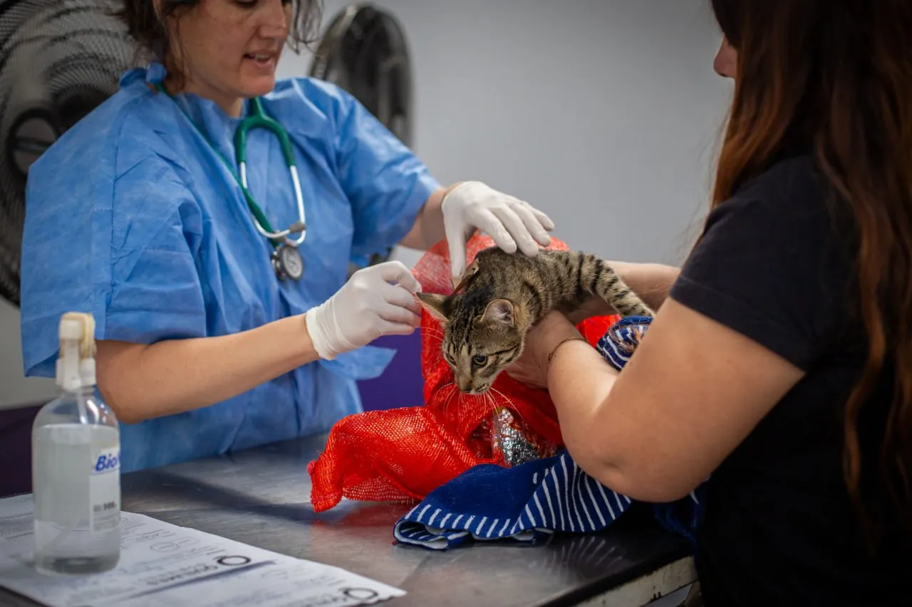 OPERATIVO DE ZOONOSIS 1