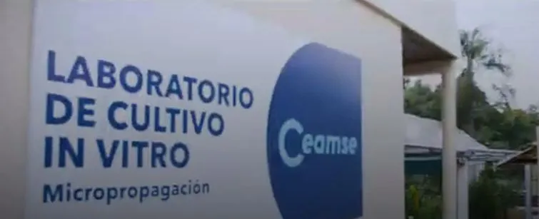 ceamse