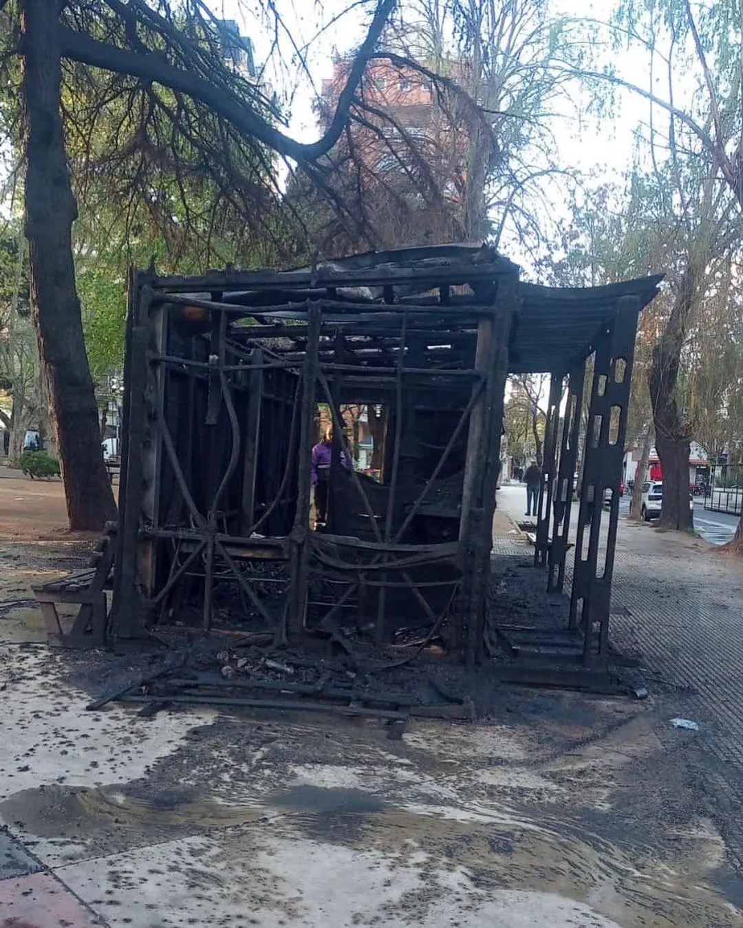 382275800_338263632069744_4652173705542803462_n